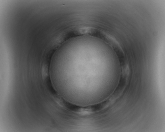 X0000114550606200910191413