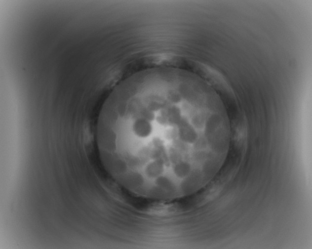 X0000114550607200910191413