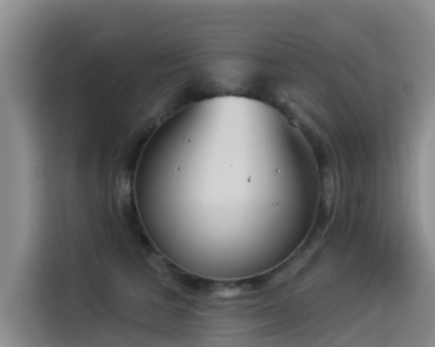 X0000114550613200910191413