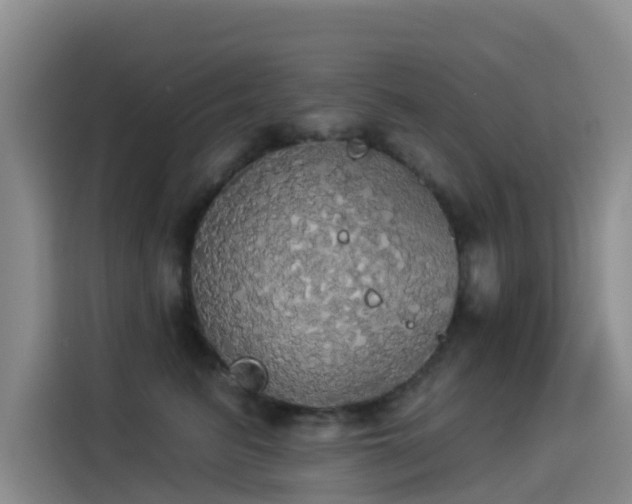 X0000114550615200910191413
