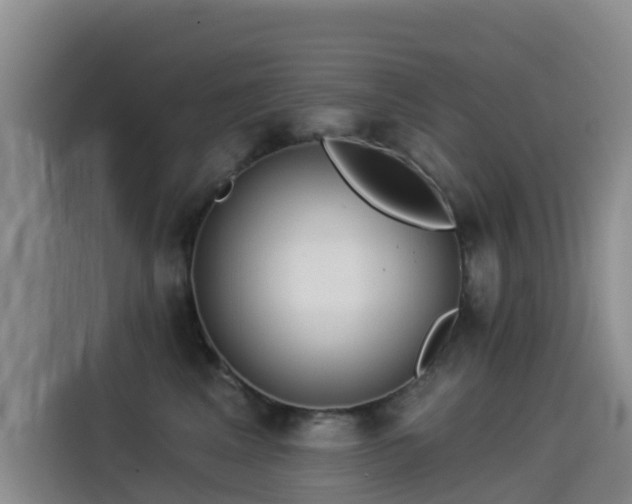 X0000114550617200910191412