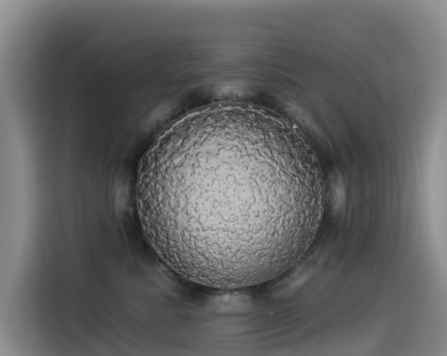 X0000114550619200910191412
