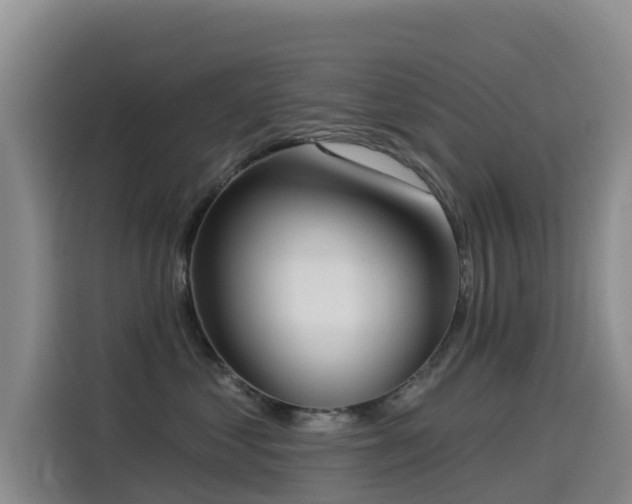 X0000114550621200910191412