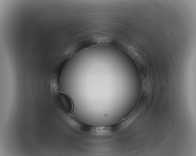 X0000114550622200910191412