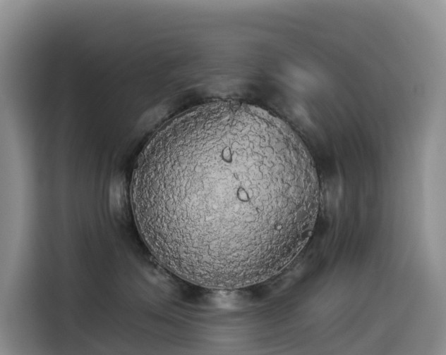 X0000114550623200910191412