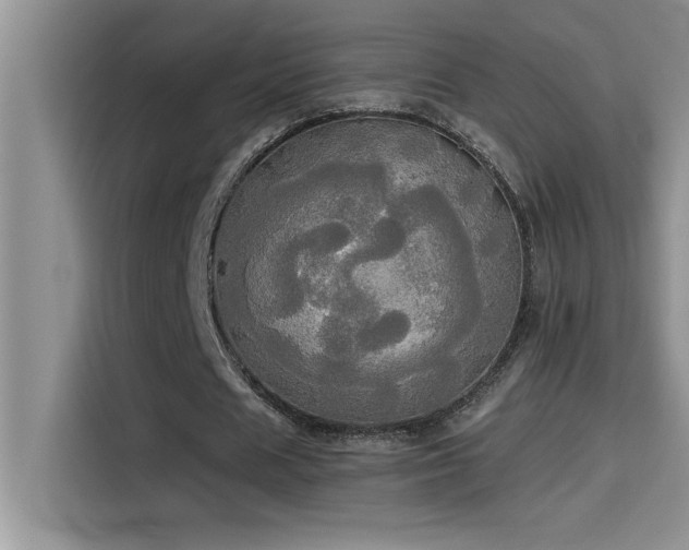 X0000114550625200910191412