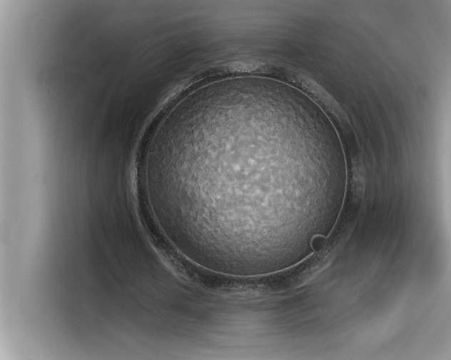 X0000114550626200910191412