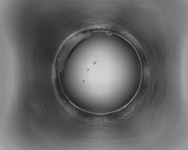 X0000114550628200910191412