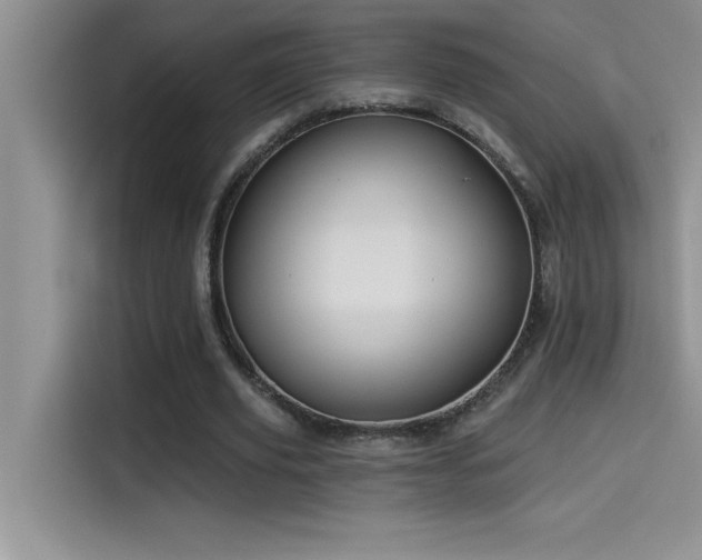 X0000114550629200910191412