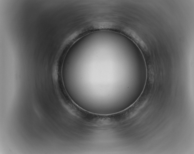 X0000114550631200910191412