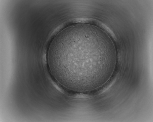 X0000114550633200910191412