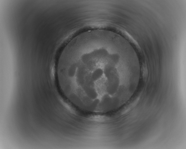 X0000114550637200910191412