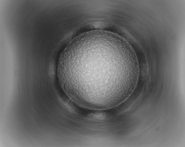 X0000114550639200910191412