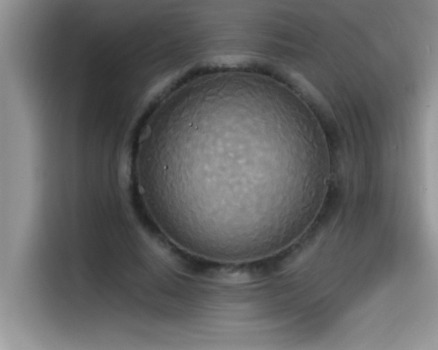 X0000114550640200910191412