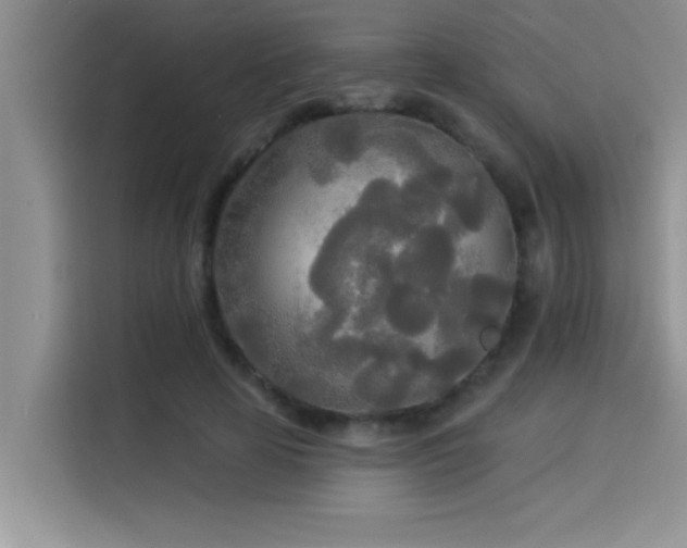 X0000114550641200910191412