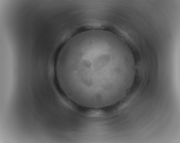 X0000114550642200910191412