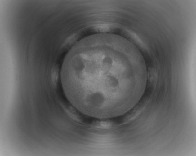 X0000114550645200910191412