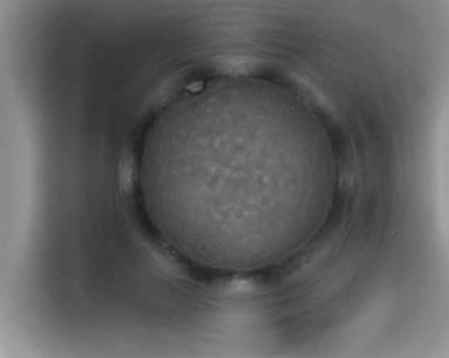 X0000114550647200910191412