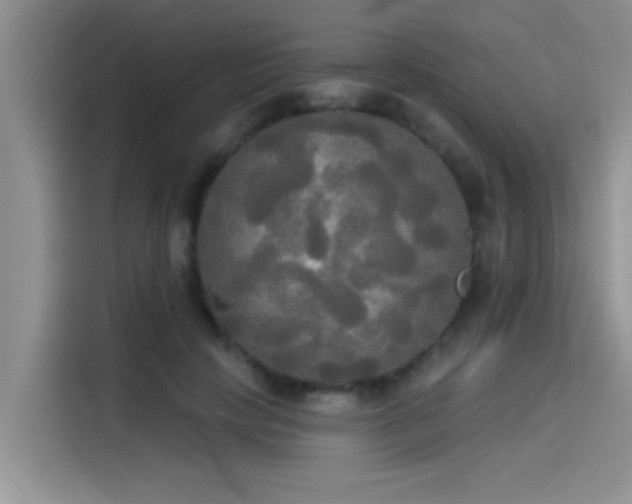 X0000114550649200910191412
