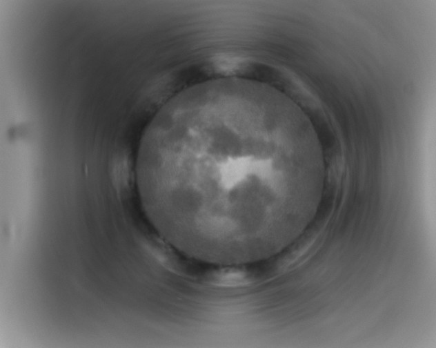 X0000114550651200910191412