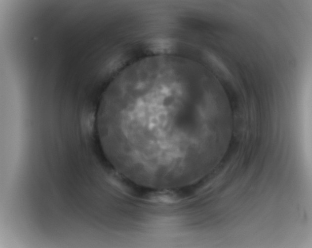 X0000114550652200910191412
