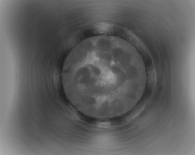 X0000114550653200910191412