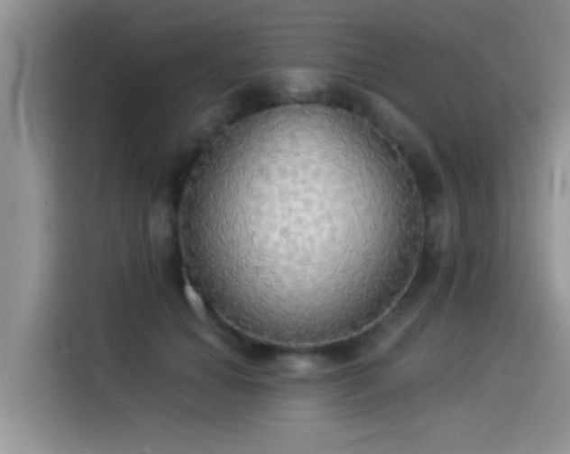X0000114550654200910191412