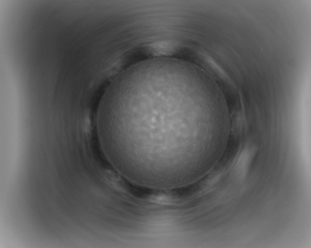 X0000114550655200910191412