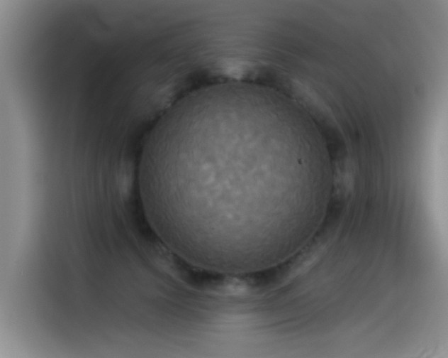 X0000114550656200910191412