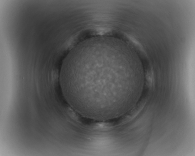 X0000114550657200910191412