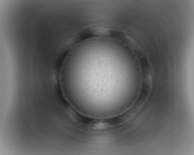 X0000114550658200910191412