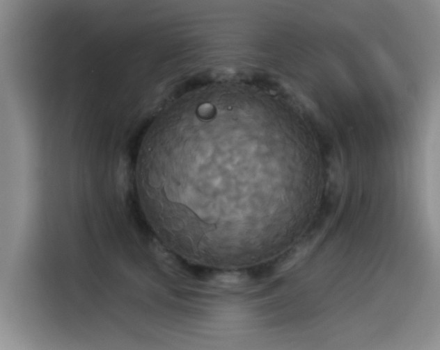 X0000114550659200910191412
