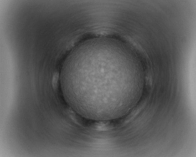 X0000114550660200910191412