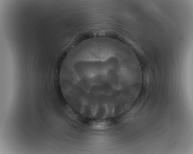 X0000114550661200910191412