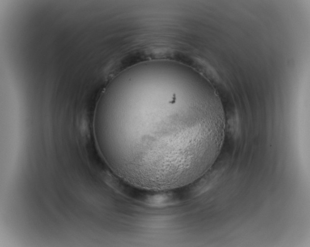 X0000114550662200910191412