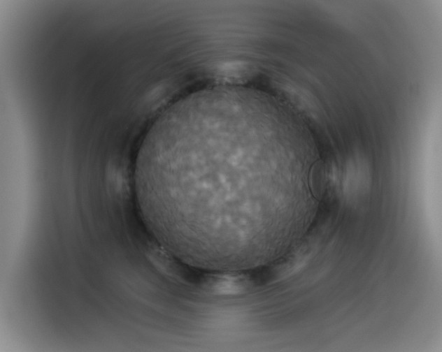X0000114550663200910191412