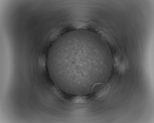 X0000114550664200910191412