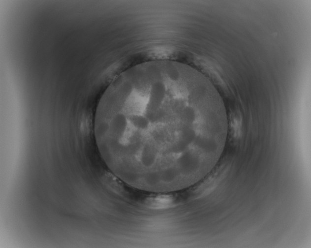 X0000114550665200910191412