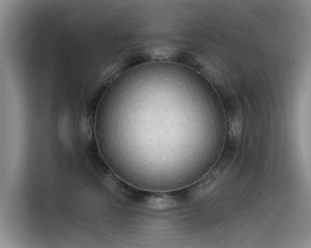 X0000114550666200910191412