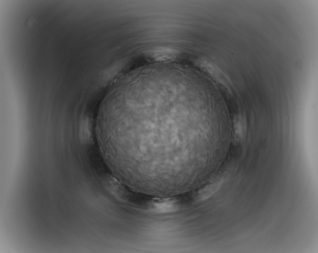 X0000114550667200910191412