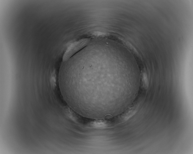 X0000114550668200910191412