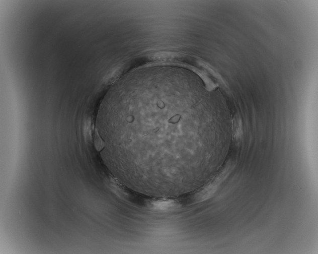 X0000114550669200910191412