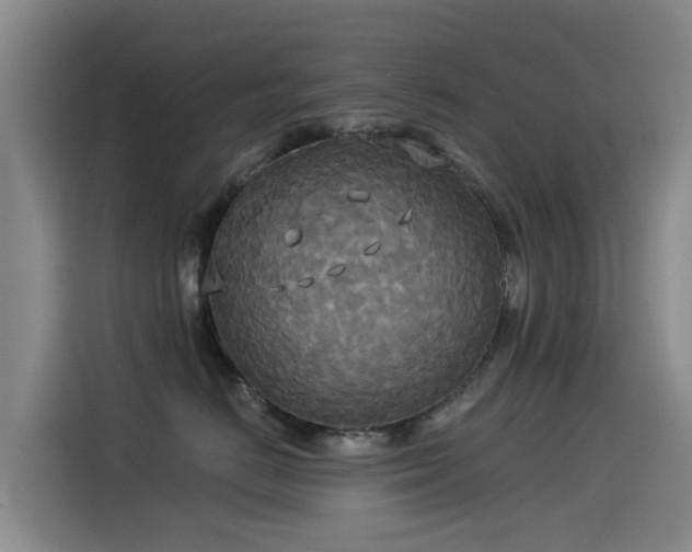 X0000114550670200910191412