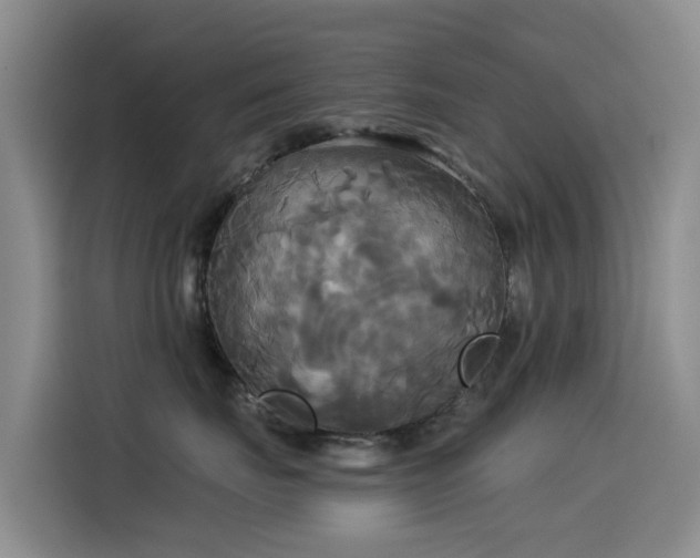 X0000114550671200910191412