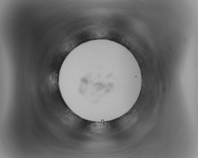 X0000114550672200910191412