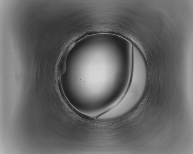 X0000114550673200910191412