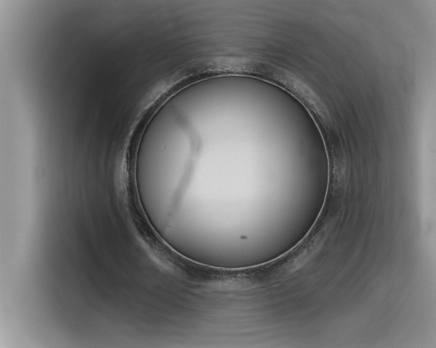 X0000114550674200910191412