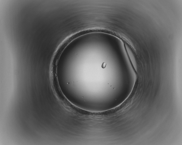 X0000114550676200910191412