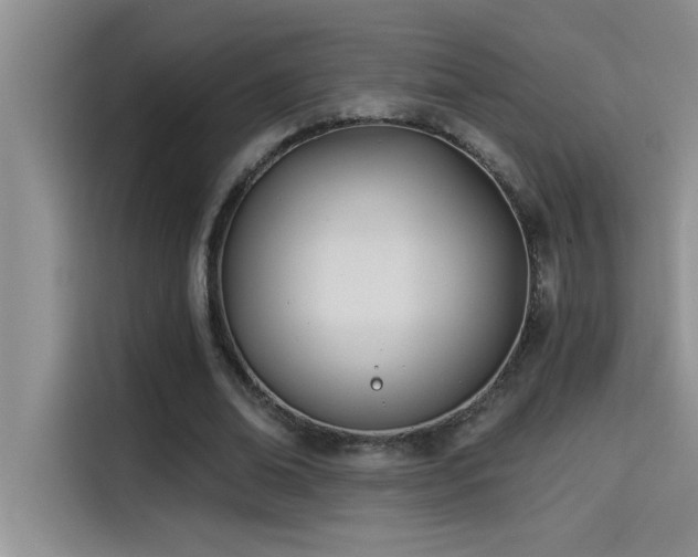 X0000114550678200910191412