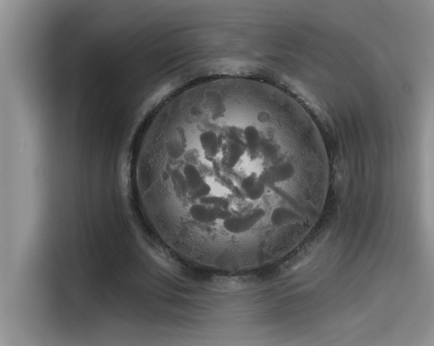X0000114550679200910191412